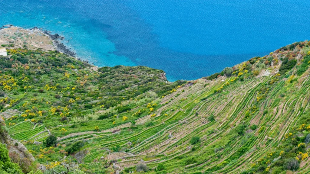 Meraviglie naturali di Ponza e Ventotene