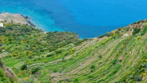 Meraviglie naturali di Ponza e Ventotene